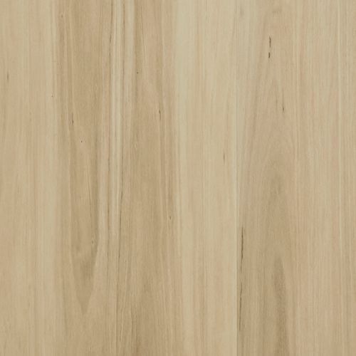 Panorama 20 Burgundyblackbutt